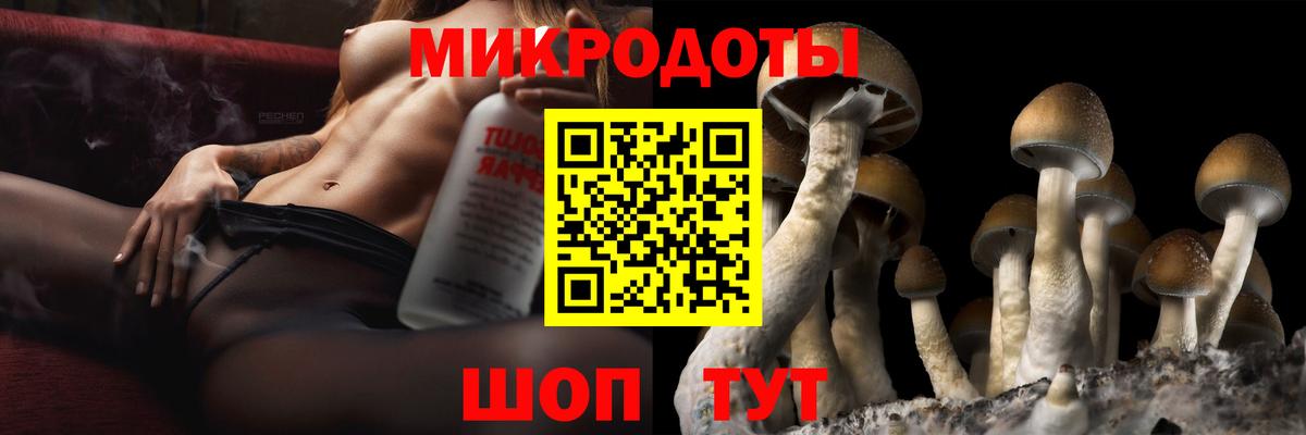 Сальск  Галлюциногенные грибы Cubensis  Галлюциногенные грибы ЛСД  где найти наркотики  Вход с VPN 
